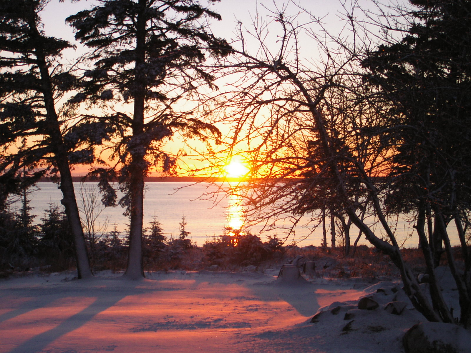 Ingomar Winter Sunset